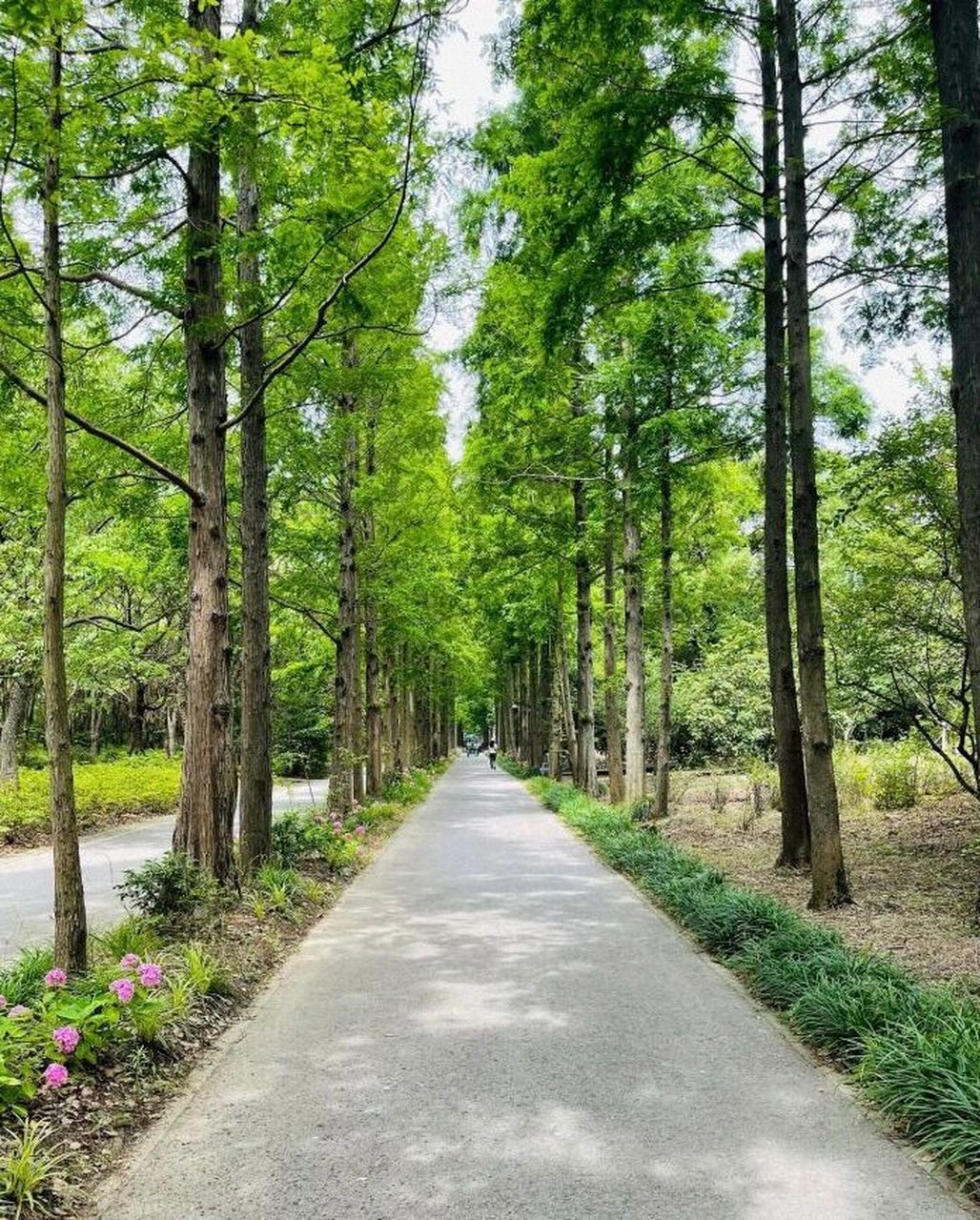 上海滨江森林公园,夏日遛娃好去处～ 第一次夏日带娃去公园,去之前还