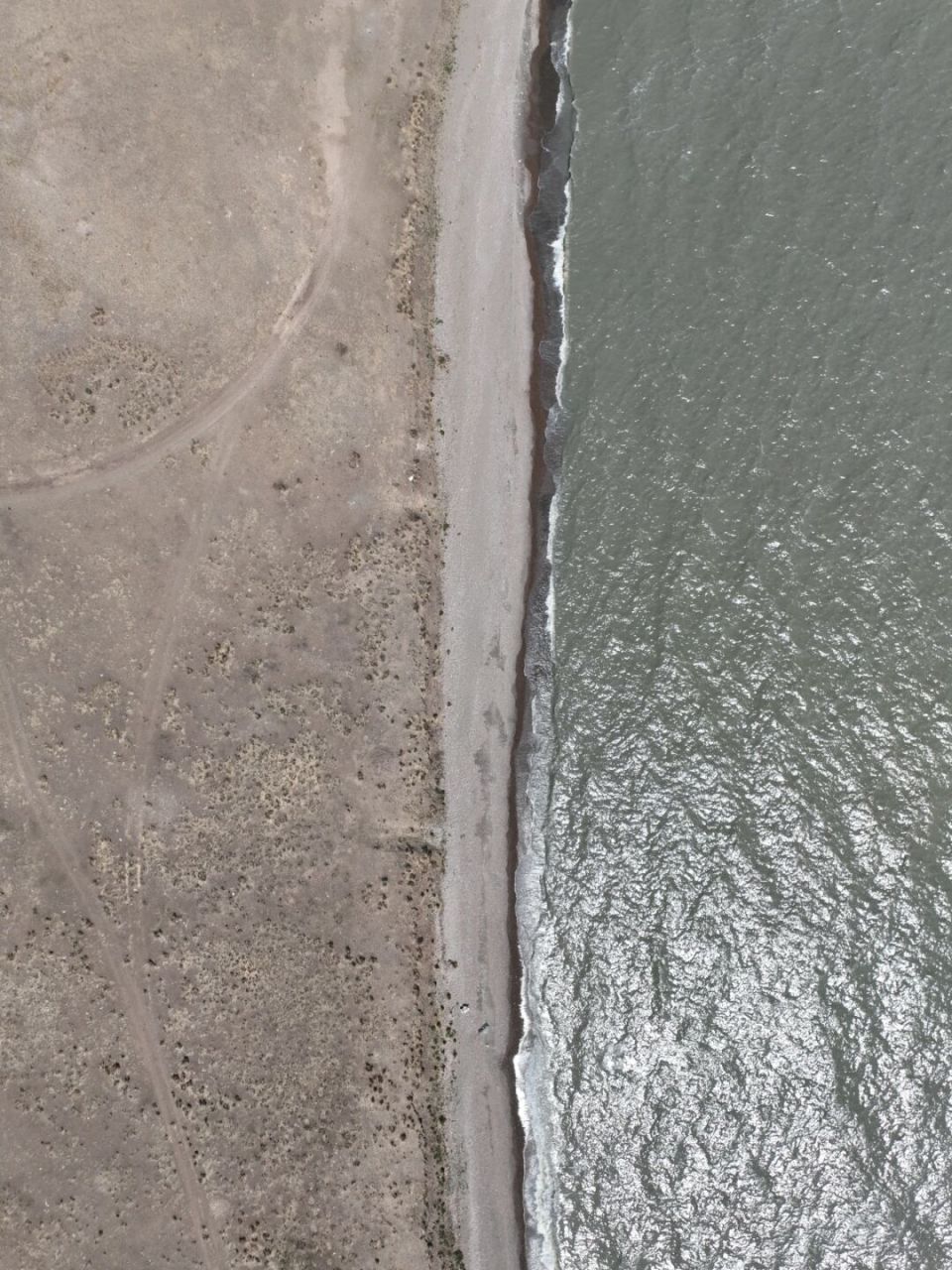 无人机实拍呼伦湖拴马桩图片,别被骗了!