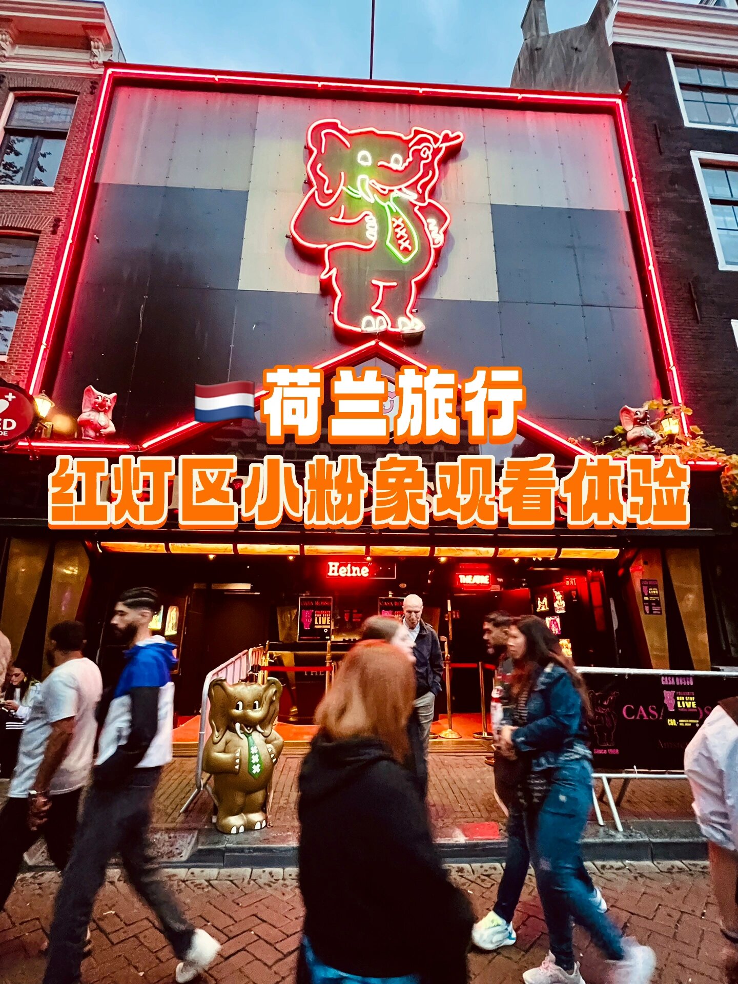 �荷兰旅行|红灯区小粉象观后感�