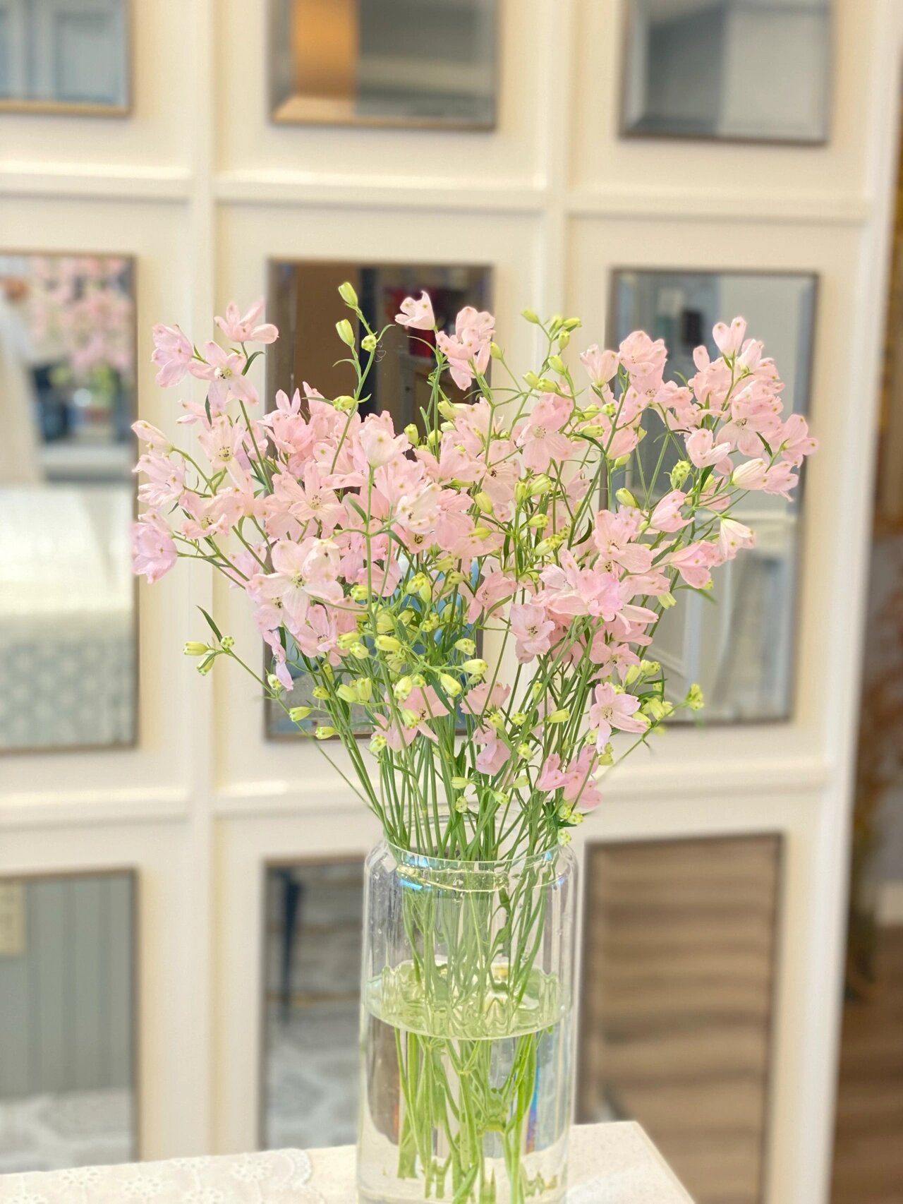 拥有一把韩剧女主的同款花束小飞燕