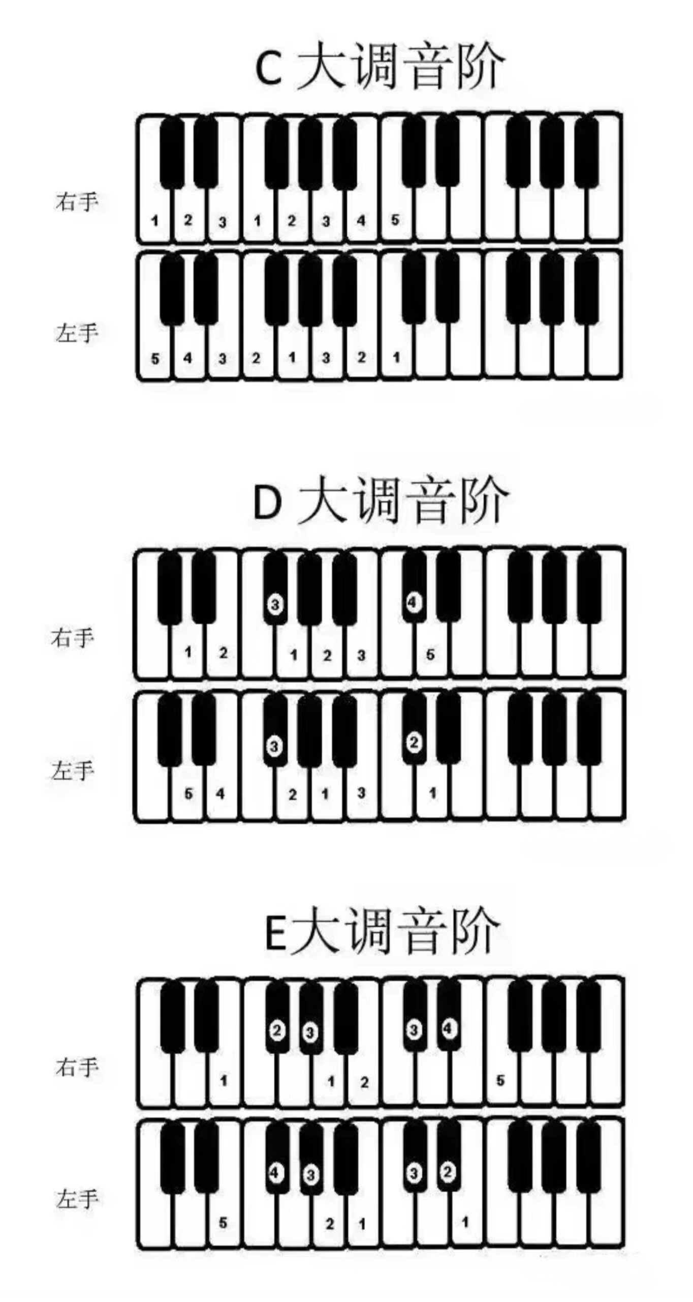 零基础自学的常用音阶钢琴键盘图