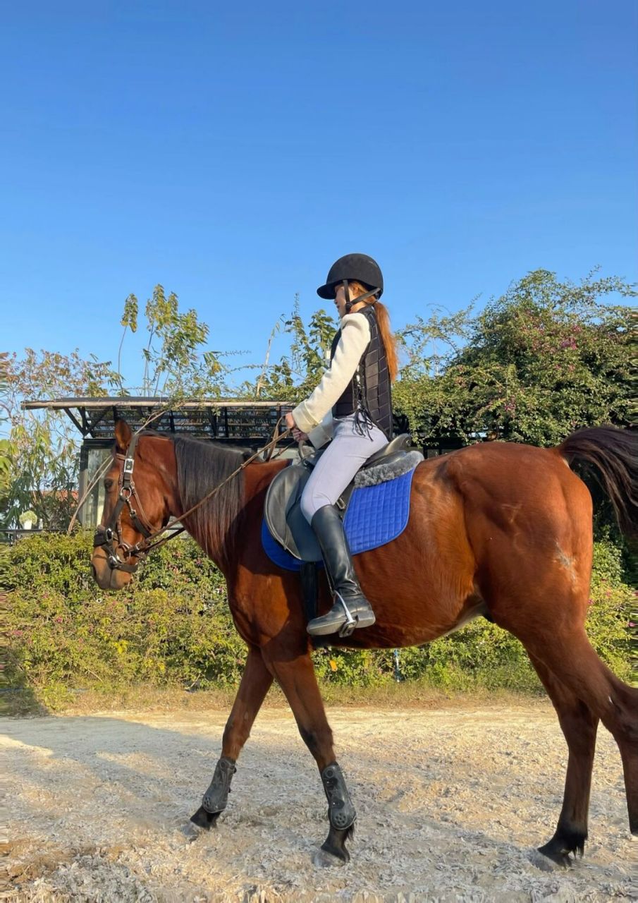 广州骑马好去处|又找到一家骑马宝藏地98 朋友找到「迦南骑士马术