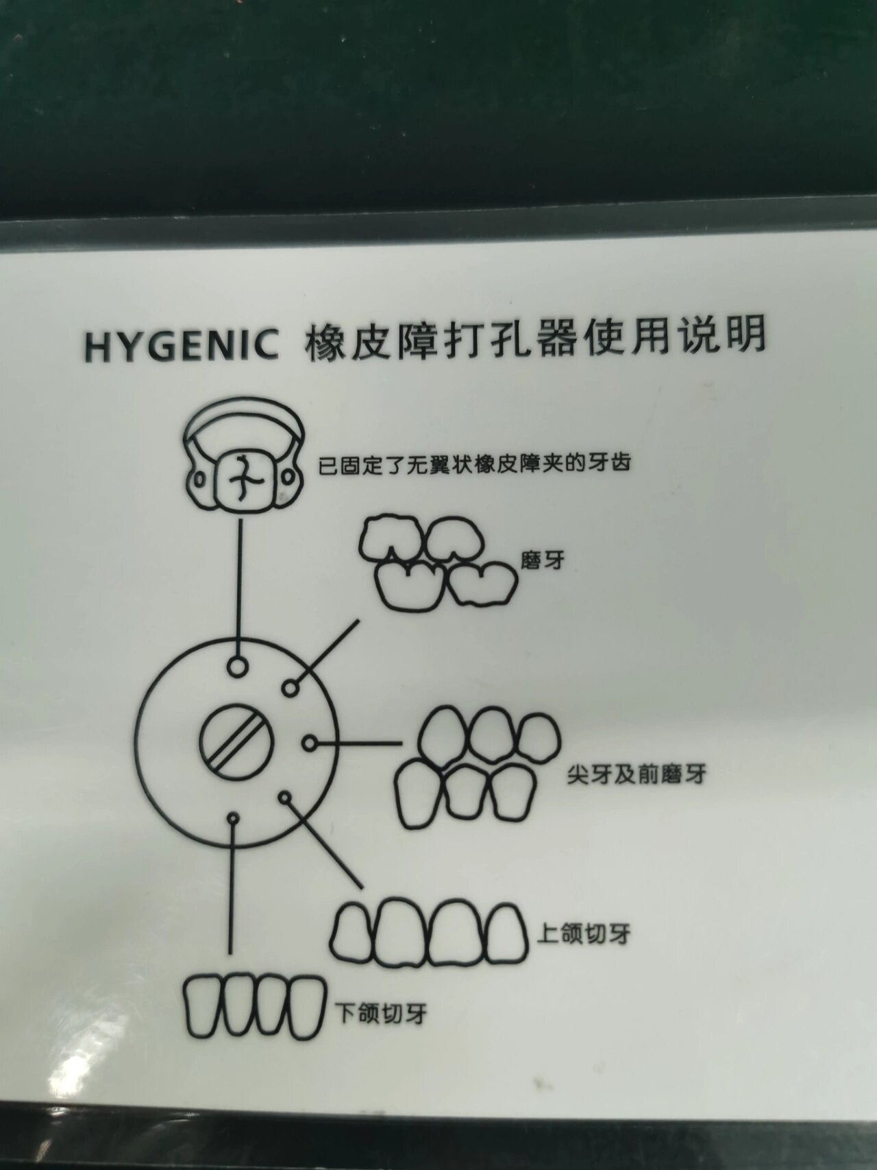 [实训用品】 仿头模,全口牙列模型,橡皮布,打孔器,橡皮障夹,橡皮障