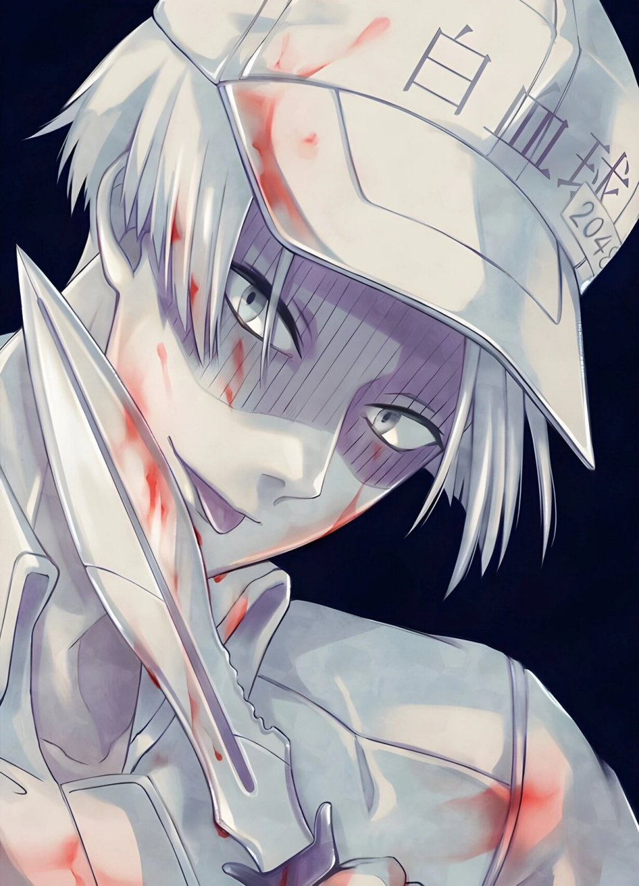 工作细胞·白血球  以上图片均来自pinterest 如果知道作者的话可以