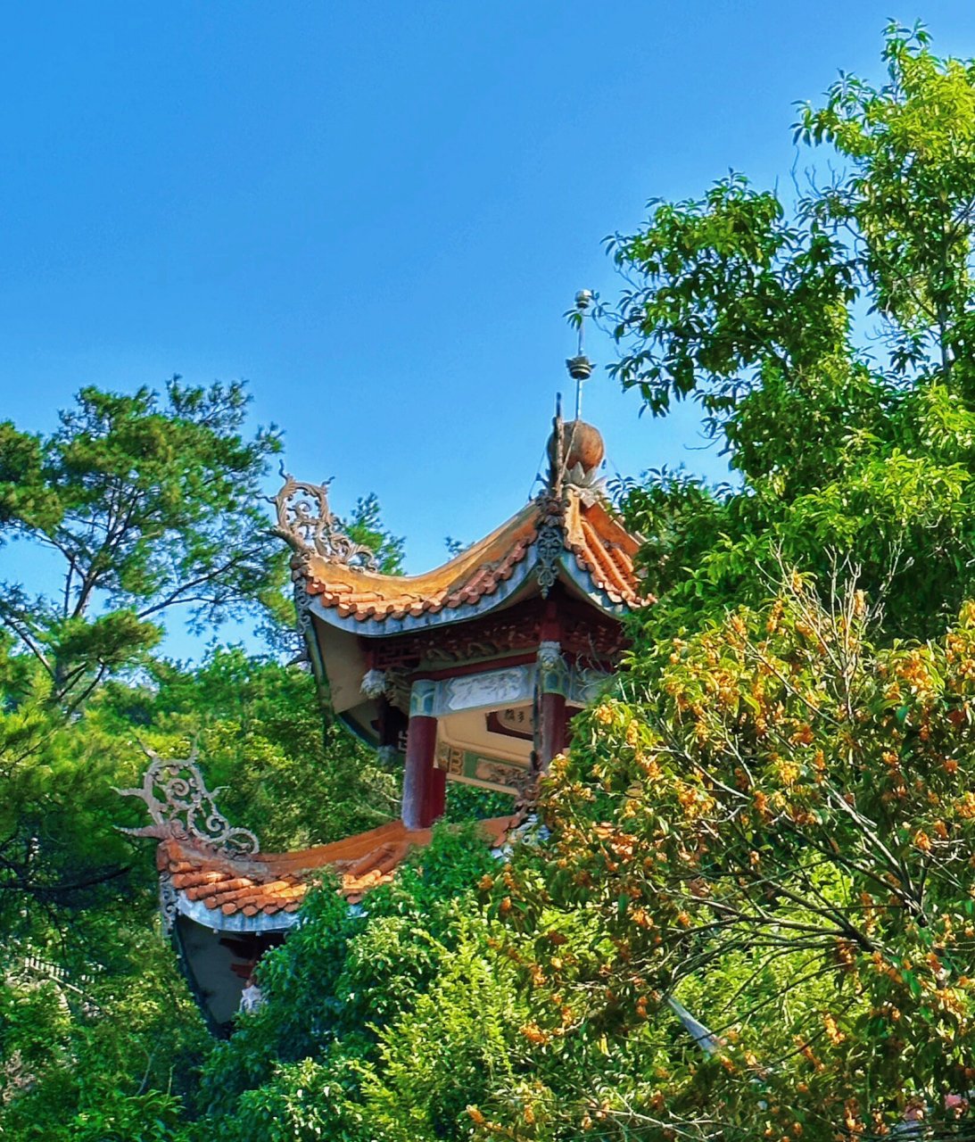 猴屿洞天岩walk      比较小,但是里面别有洞天,在狭窄的石缝里穿梭