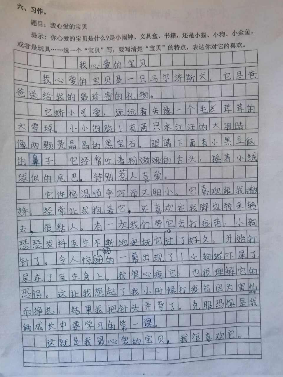 三年级上习作 我心爱的宝贝