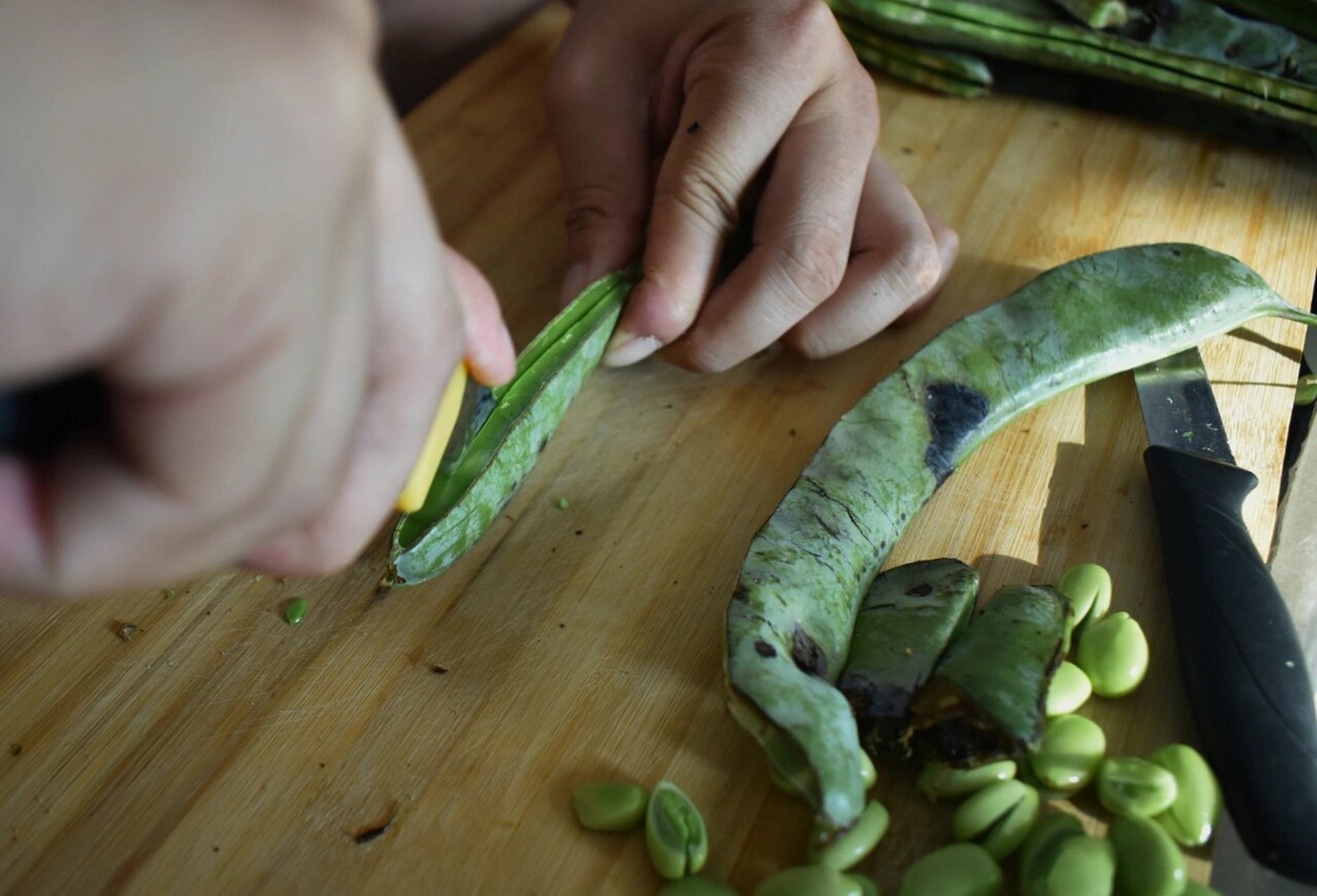 一颗皂角米的诞生 疫情在家出不去,在小区发现有几颗皂角树 摘了一些