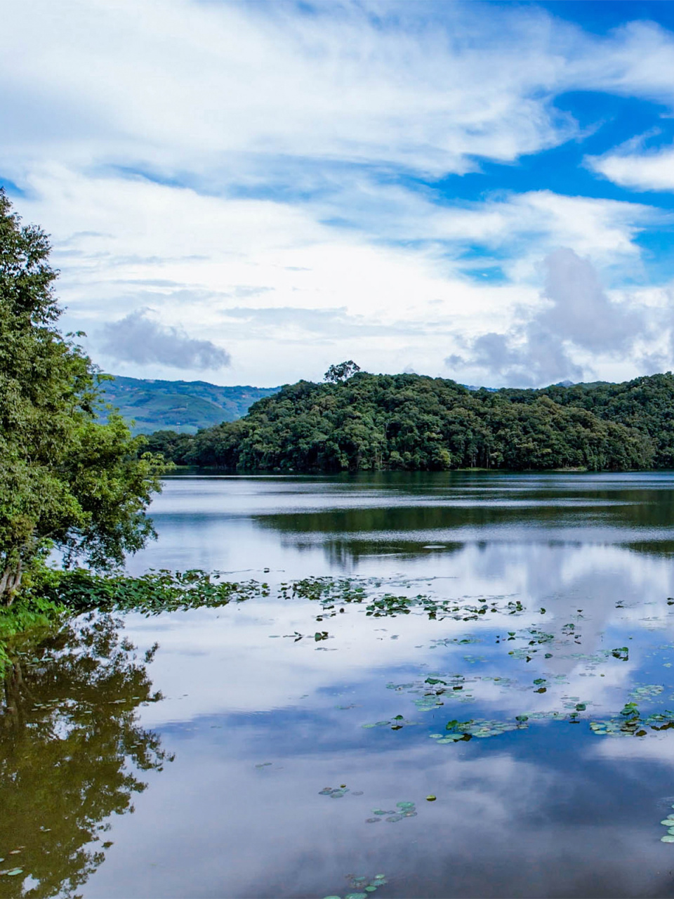 西盟·勐梭龙潭|藏在边境的隐世秘境99 "古树高低屋,斜阳远近山;林
