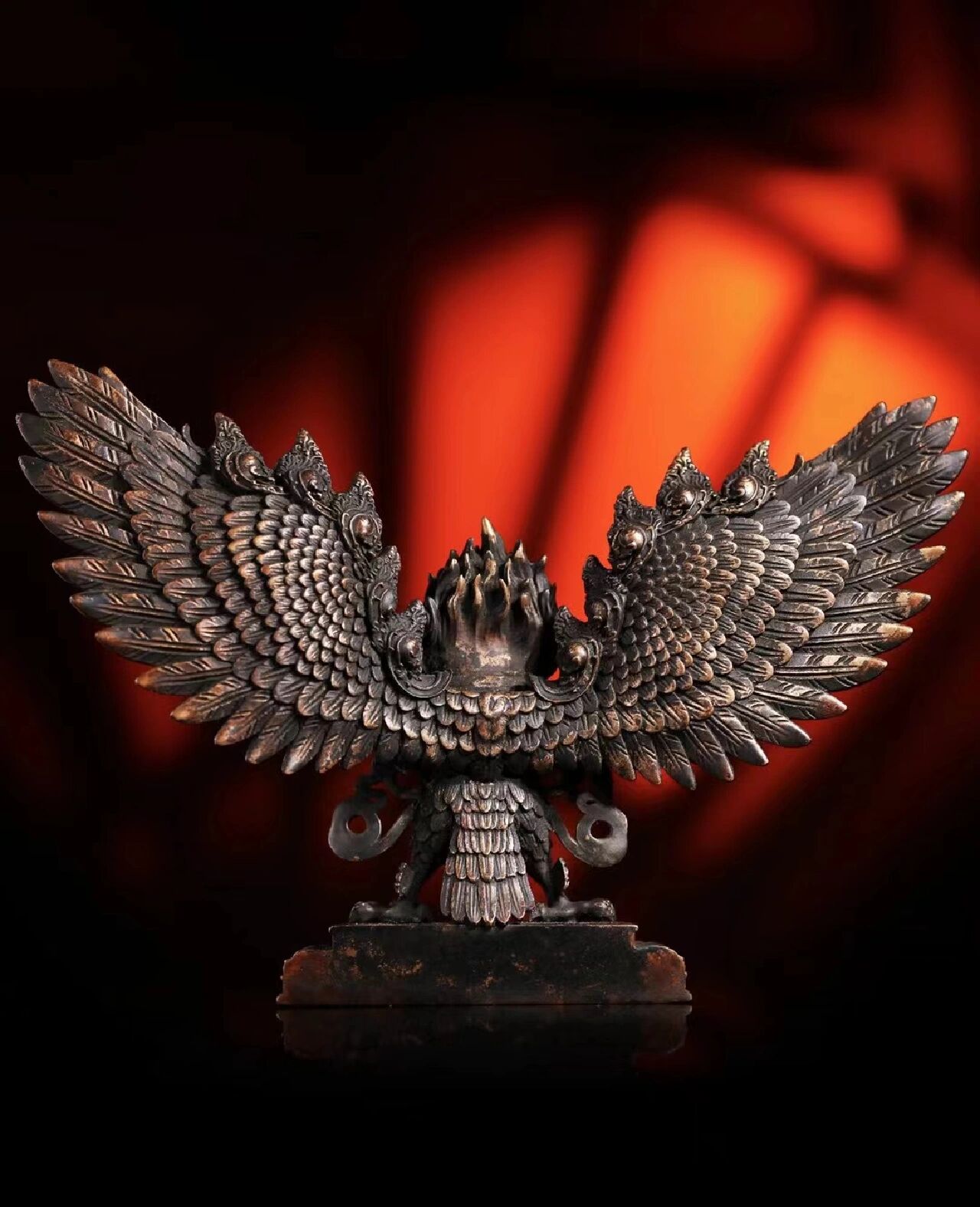 少见的大鹏金翅鸟  大鹏金翅鸟 气宇轩昂,神态怡然