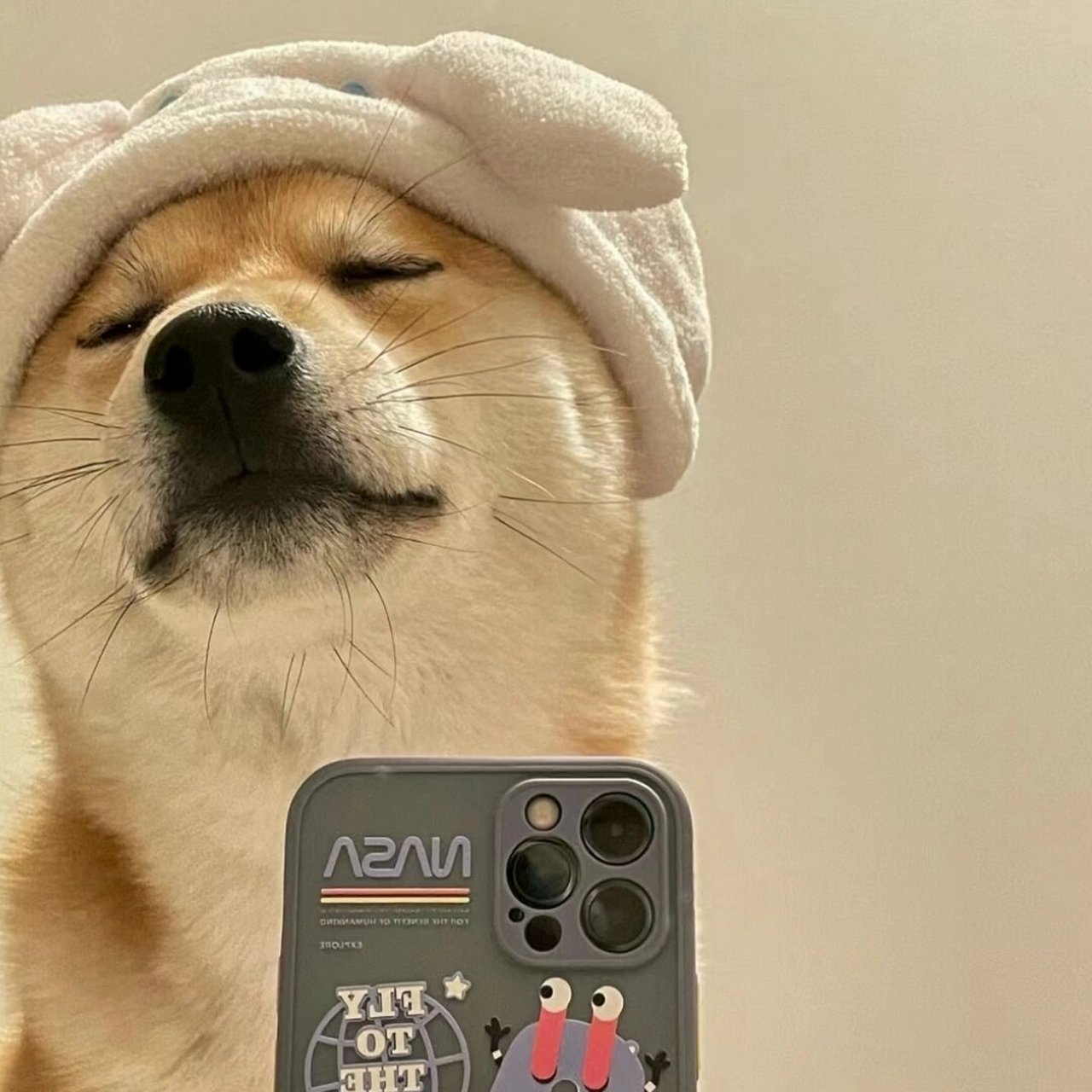 自信狗子头像 发现一组自信狗子头像!