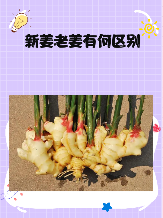 外观:新姜的外观较嫩,颜色较浅,而老姜的外观较粗糙,颜色较深.   2.