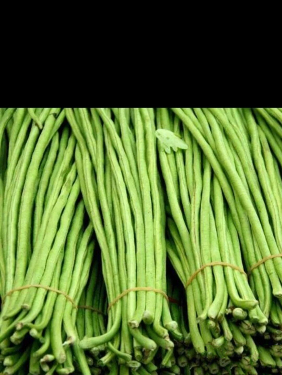 这种豆角不熟有毒吗 豇豆角焯水三分钟,捞上来没有尝,直接倒上麻酱
