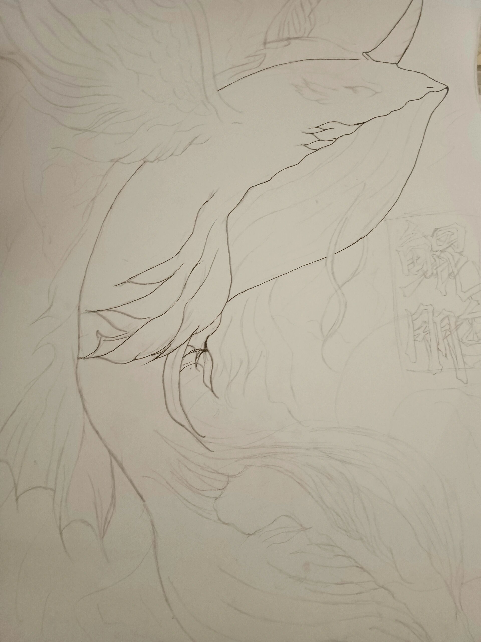 北冥有鱼 其名为鲲