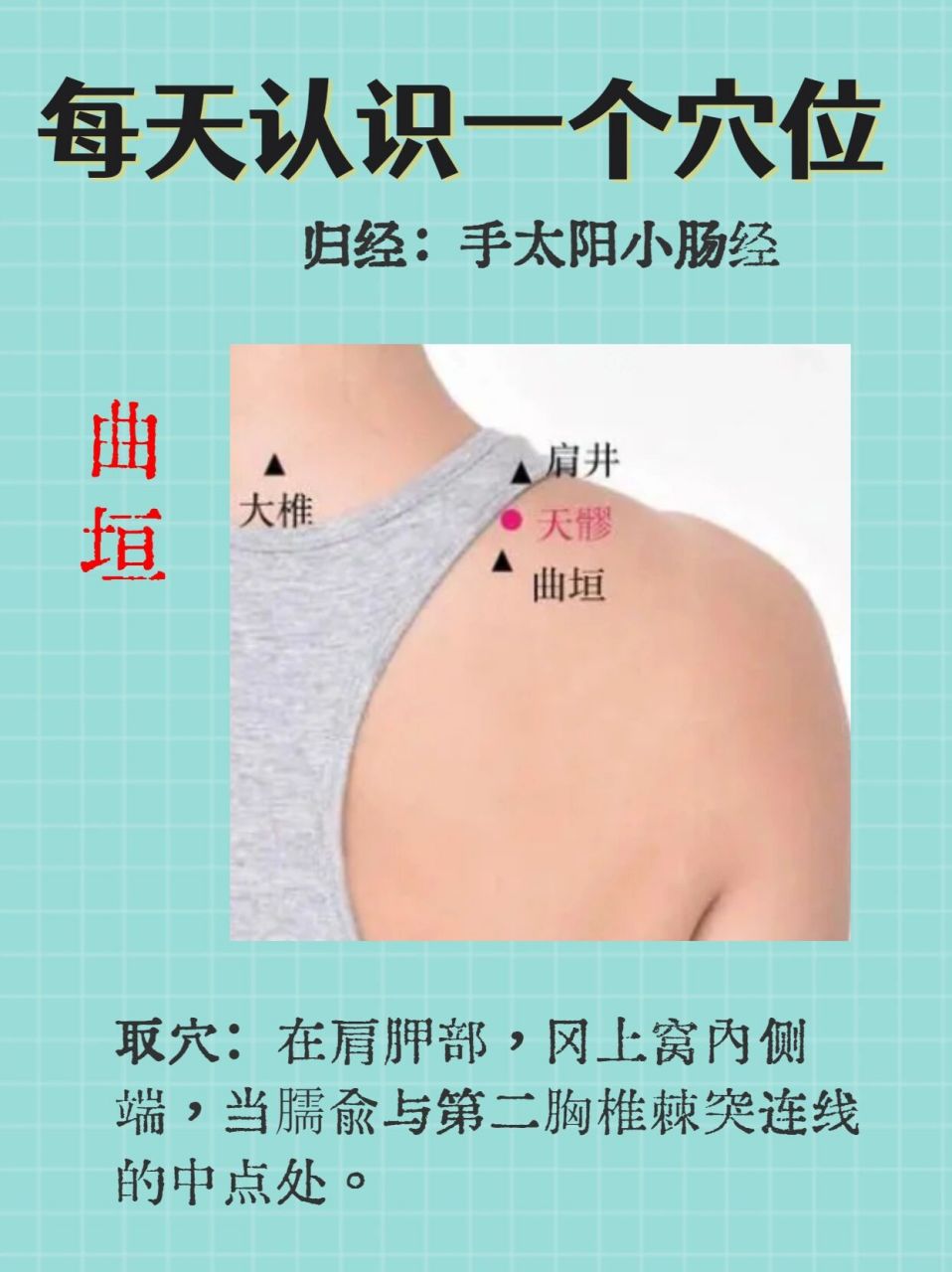 每天认识一个穴位-曲垣