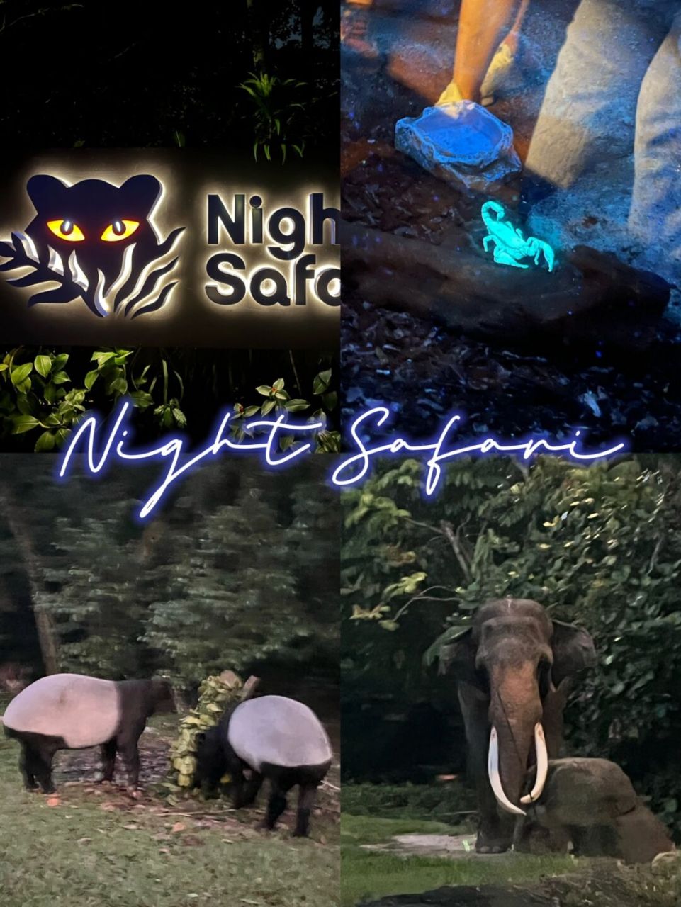 新加坡的夜间动物园真的很有特色,非常值得一去～ - 建议买票的时候