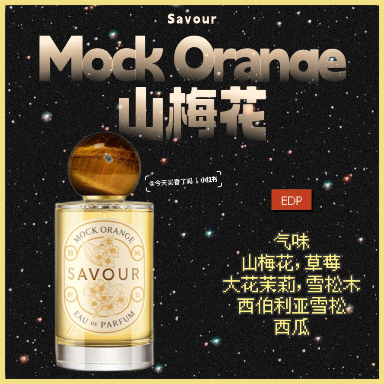 【新香速递】savour - 山梅花 savour 2022 mock orange 山梅花 edp