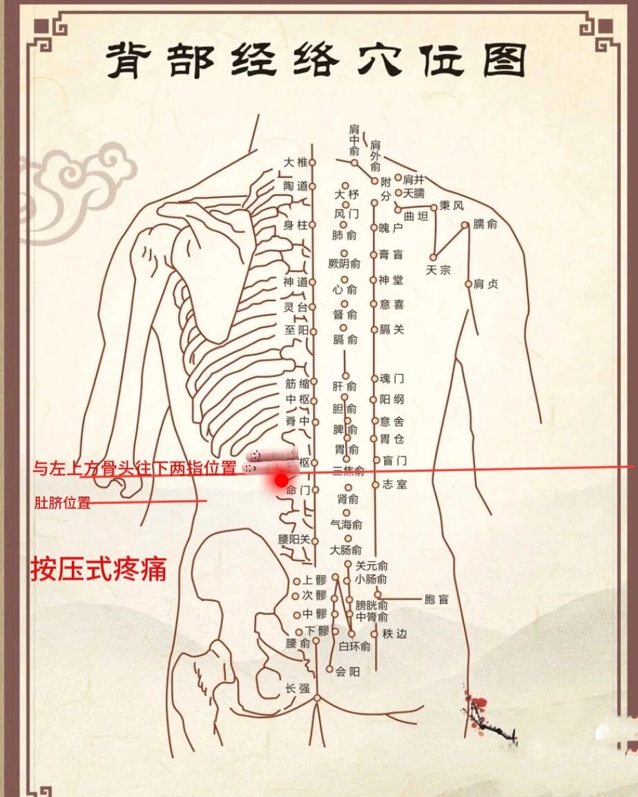 后背左边疼图片