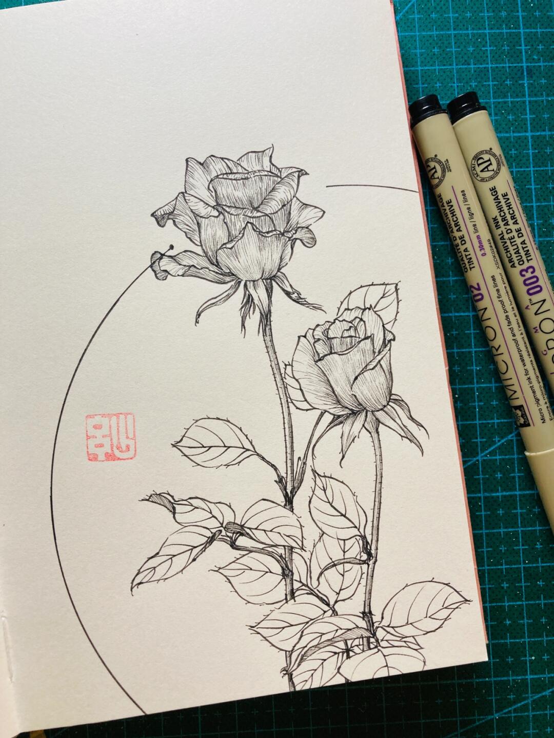针管笔脱稿 玫瑰花