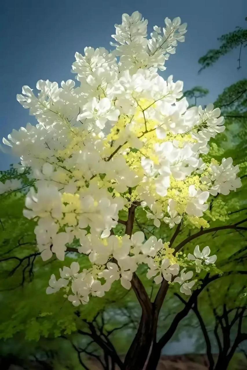 青春易逝,时不我待,若总顾影自怜,耽于消极,岂不任年华流走,空留遗憾.