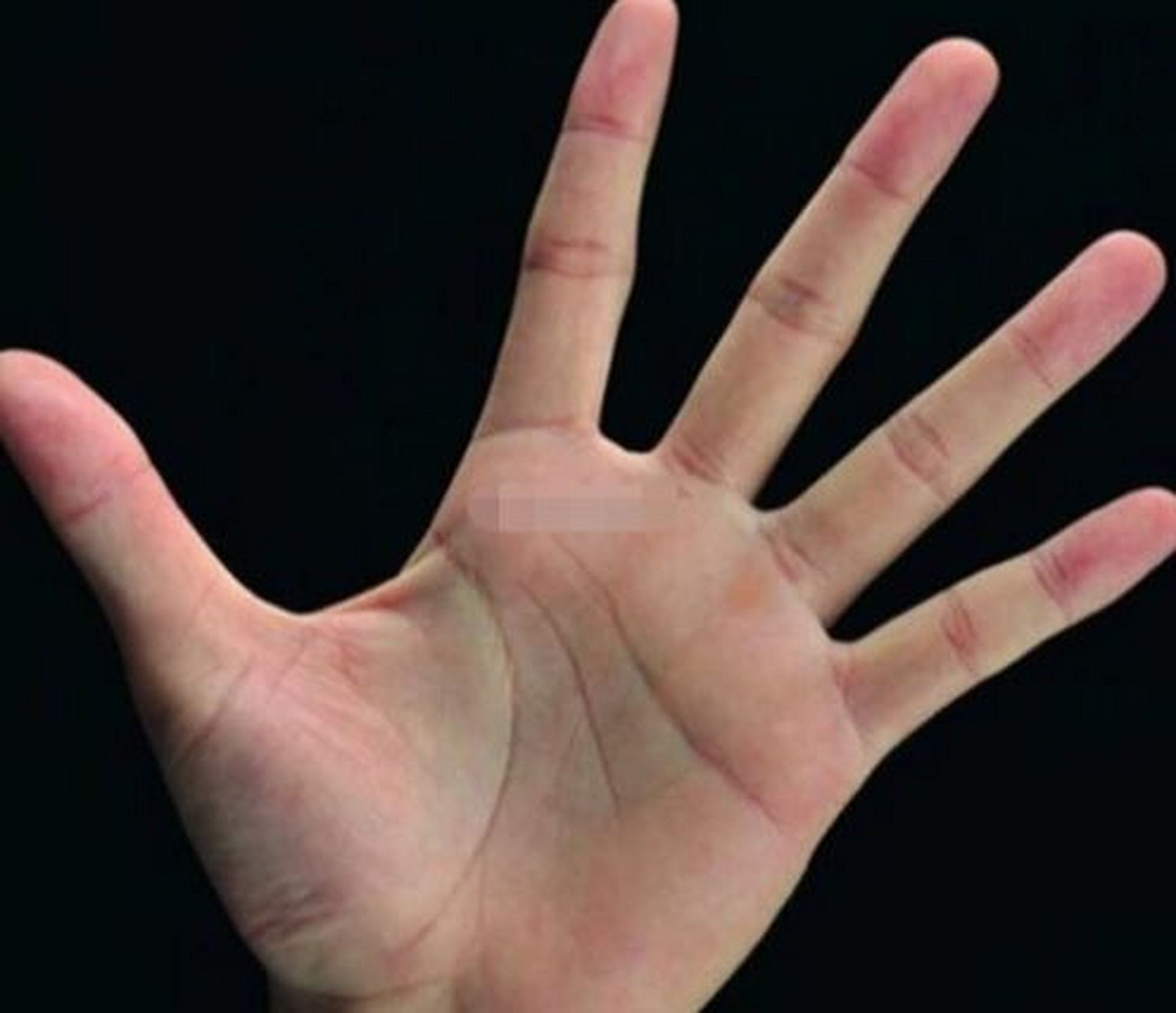 在大拇指下虎口那个位置红润,饱满,明亮,代表你在春天的财运好,或是