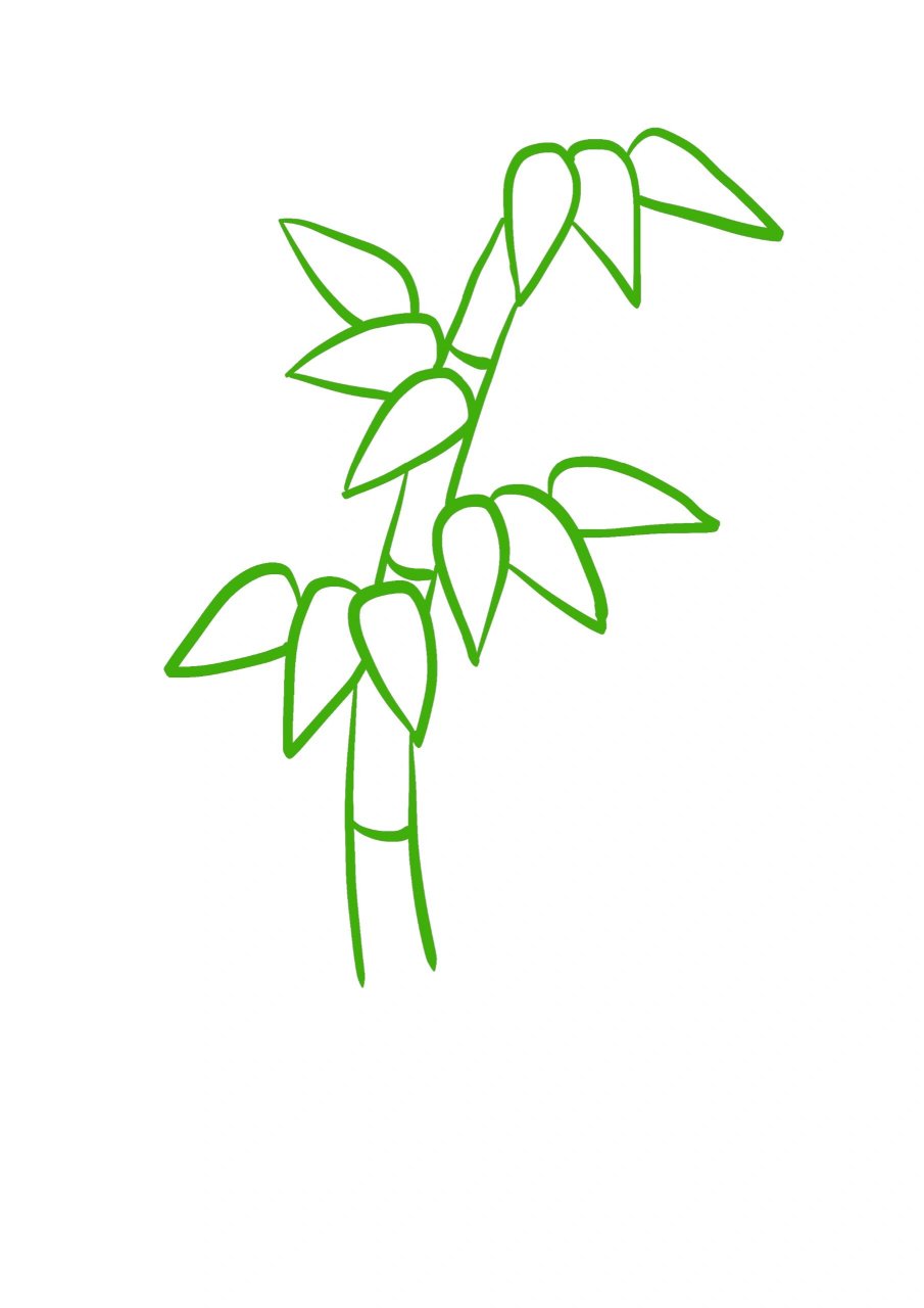 竹子的简笔画 竹子的简笔画:轻松勾勒,感受绿意盎然  大家好,我是一个