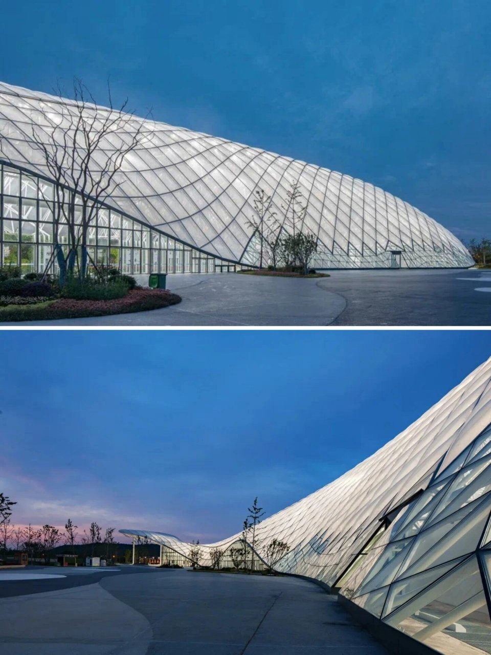 扬州世界园艺博览会国际馆|植物展览馆 2021年扬州世界园艺博览会以"