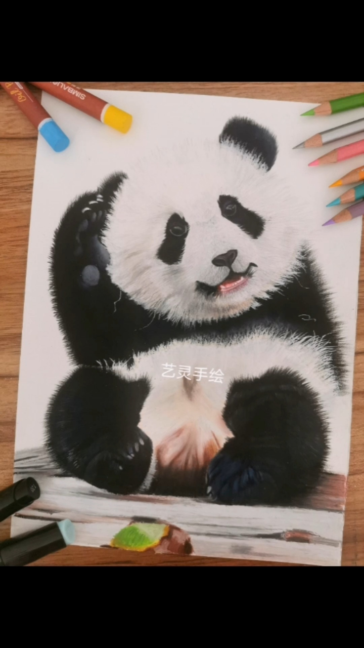 彩铅|国宝熊猫可爱来袭 第一次画熊猫,本来是想画纯彩铅的,发现熊猫