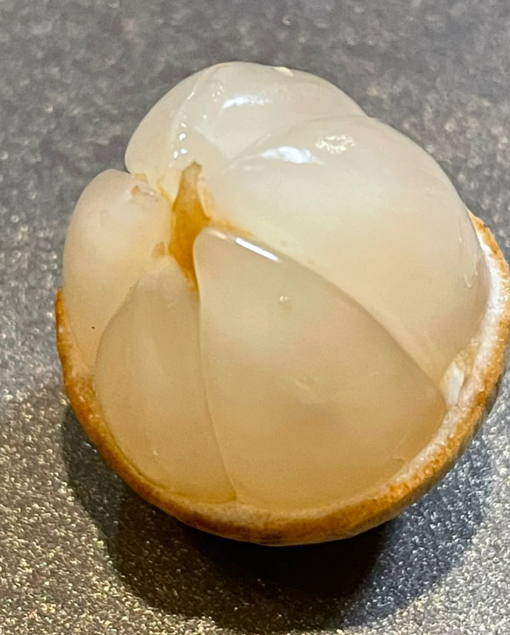 这种贵族水果很多人都没见过#说起"水果公主"之称的龙宫果又名龙功果