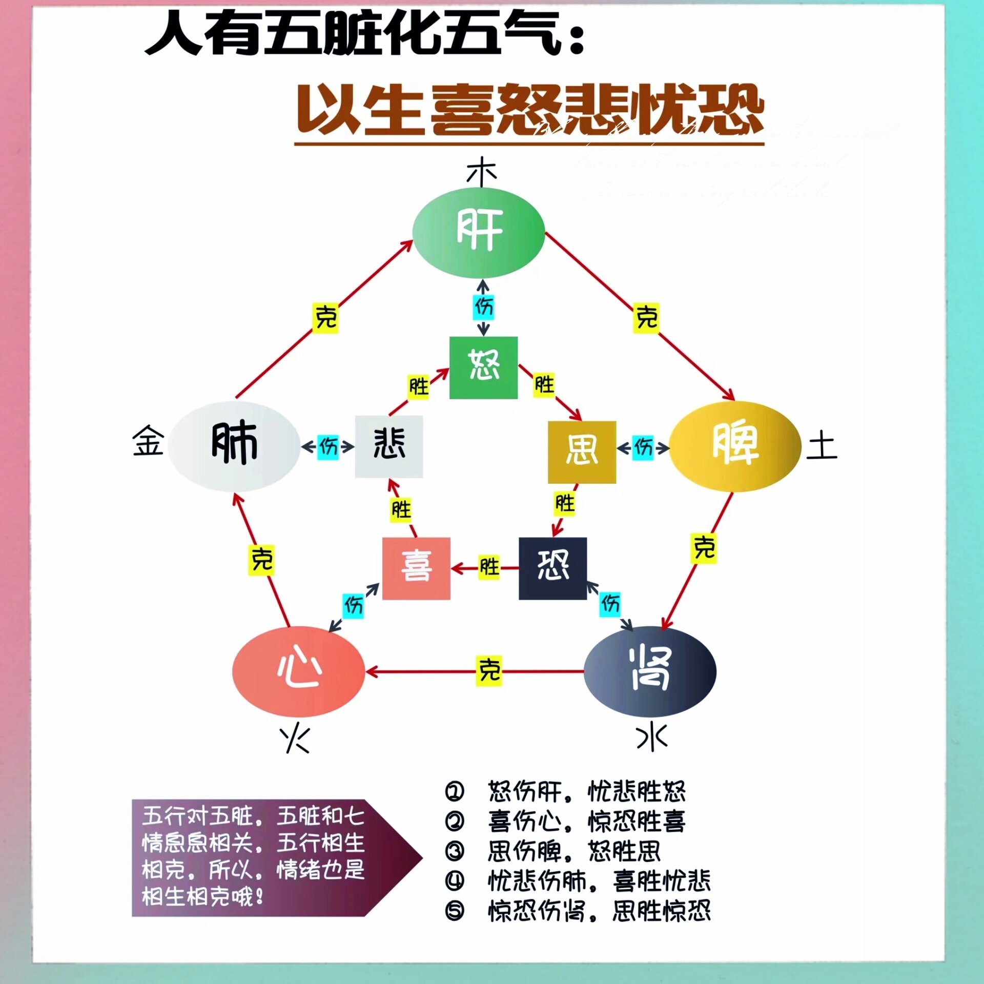 人有五脏化五气