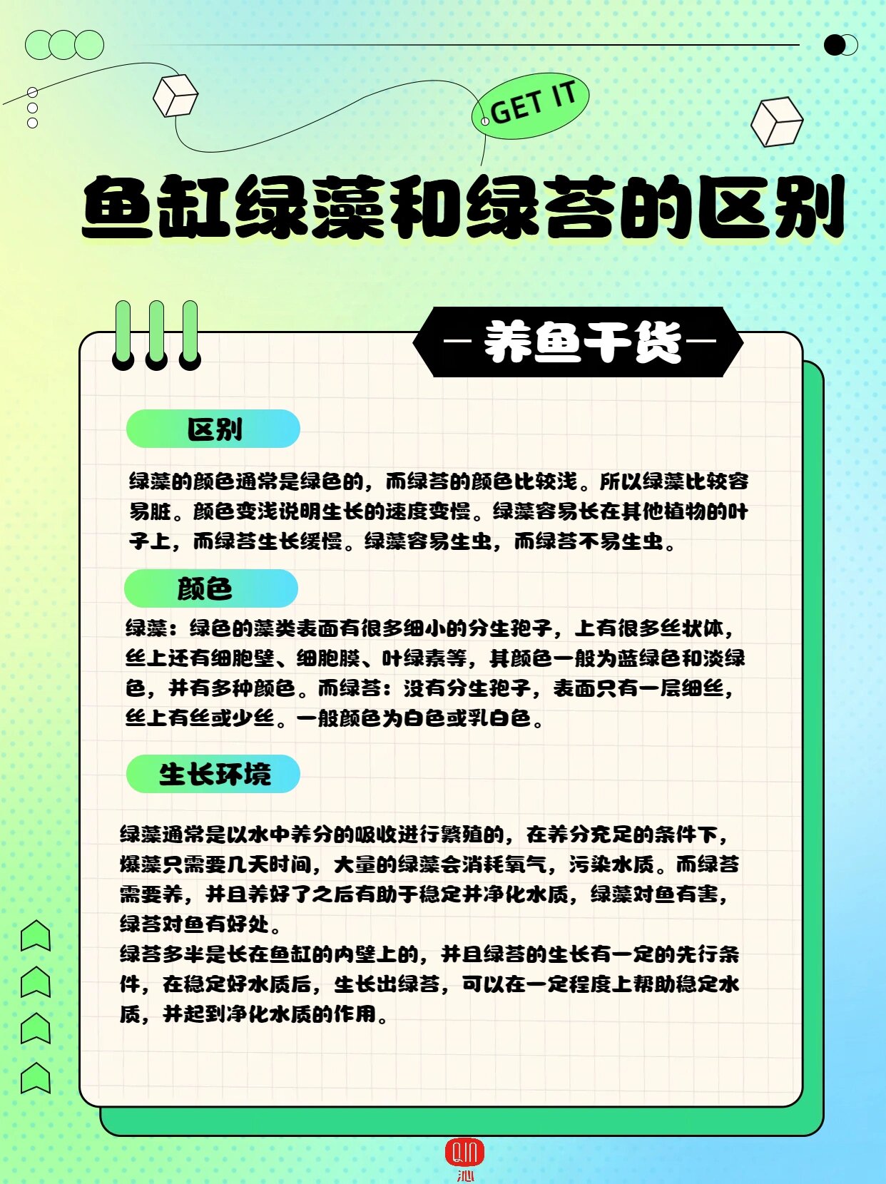 鱼缸藻类图解图片