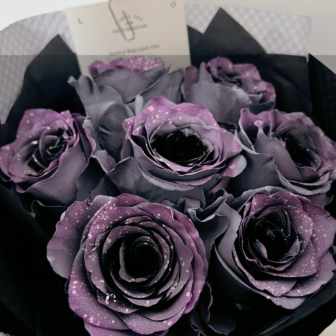 厄瓜多尔黑玫瑰真的惊艳!