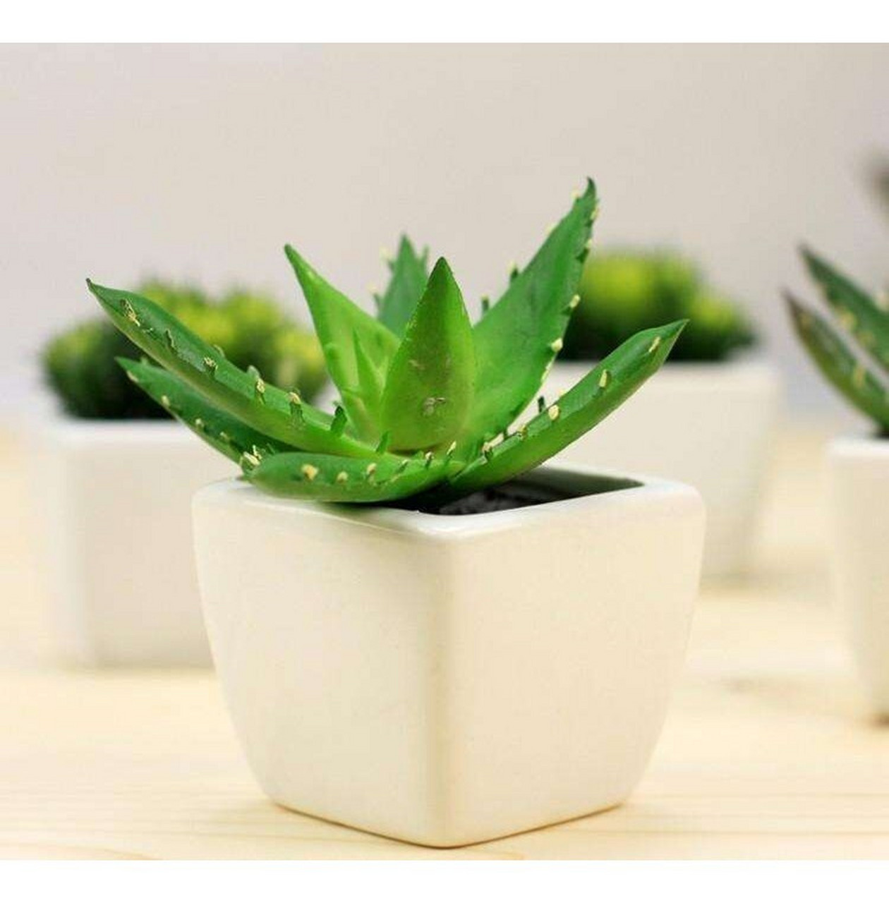 等于养了一盆活的护肤品 芦荟是非常常见的净化空气的植物,不仅能够