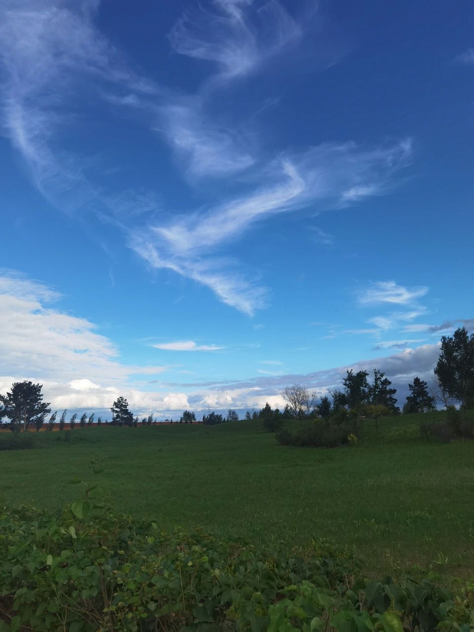 杜尔伯特风景图片