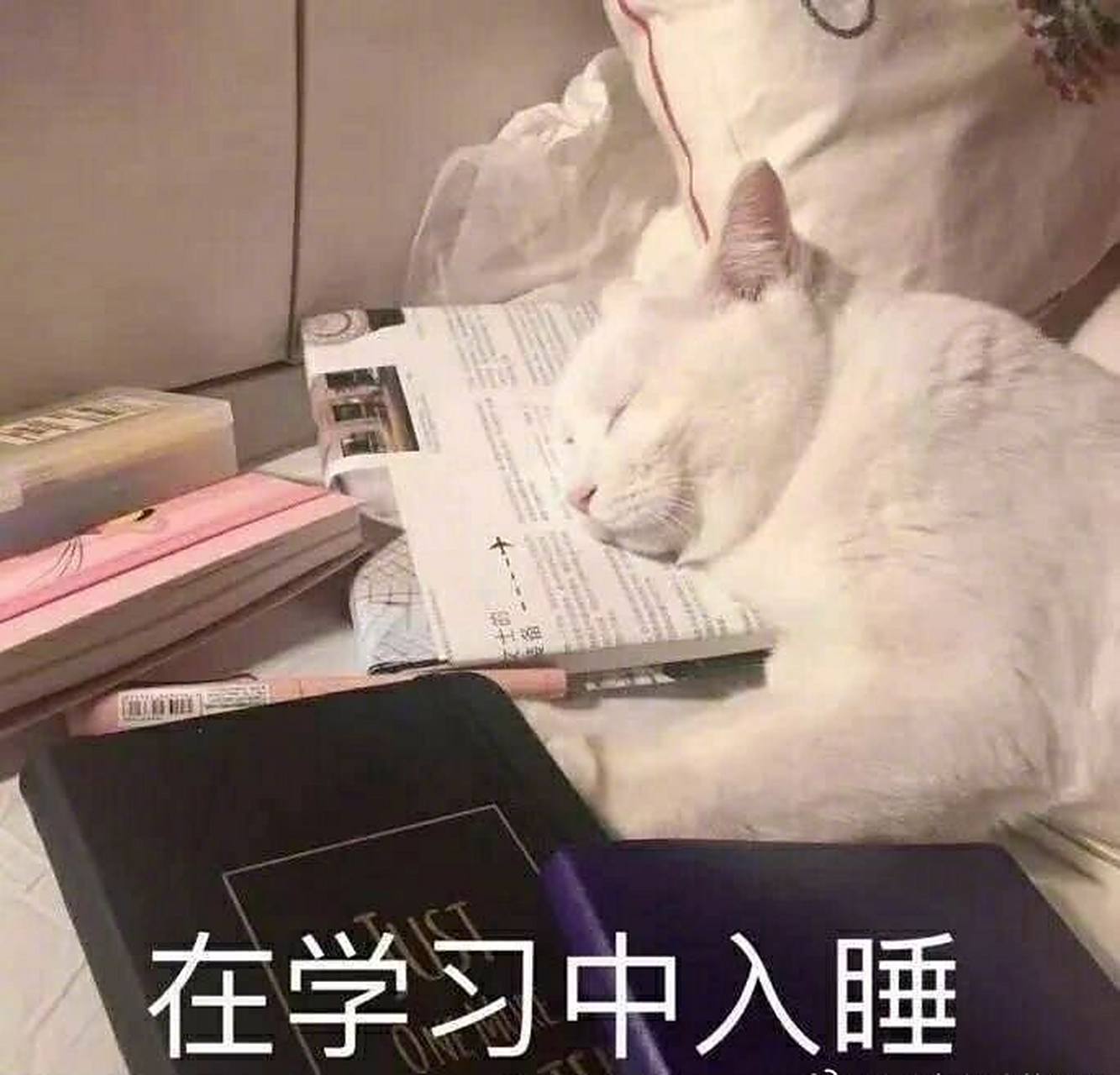 医学生表情包第一弹99期末复习的你还好吗 能熬过期末复习的医学生