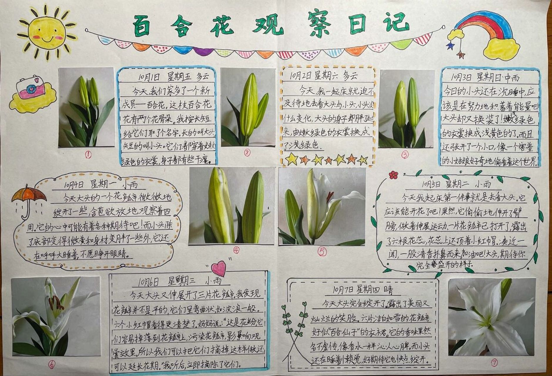 门前鲜花手抄报图片