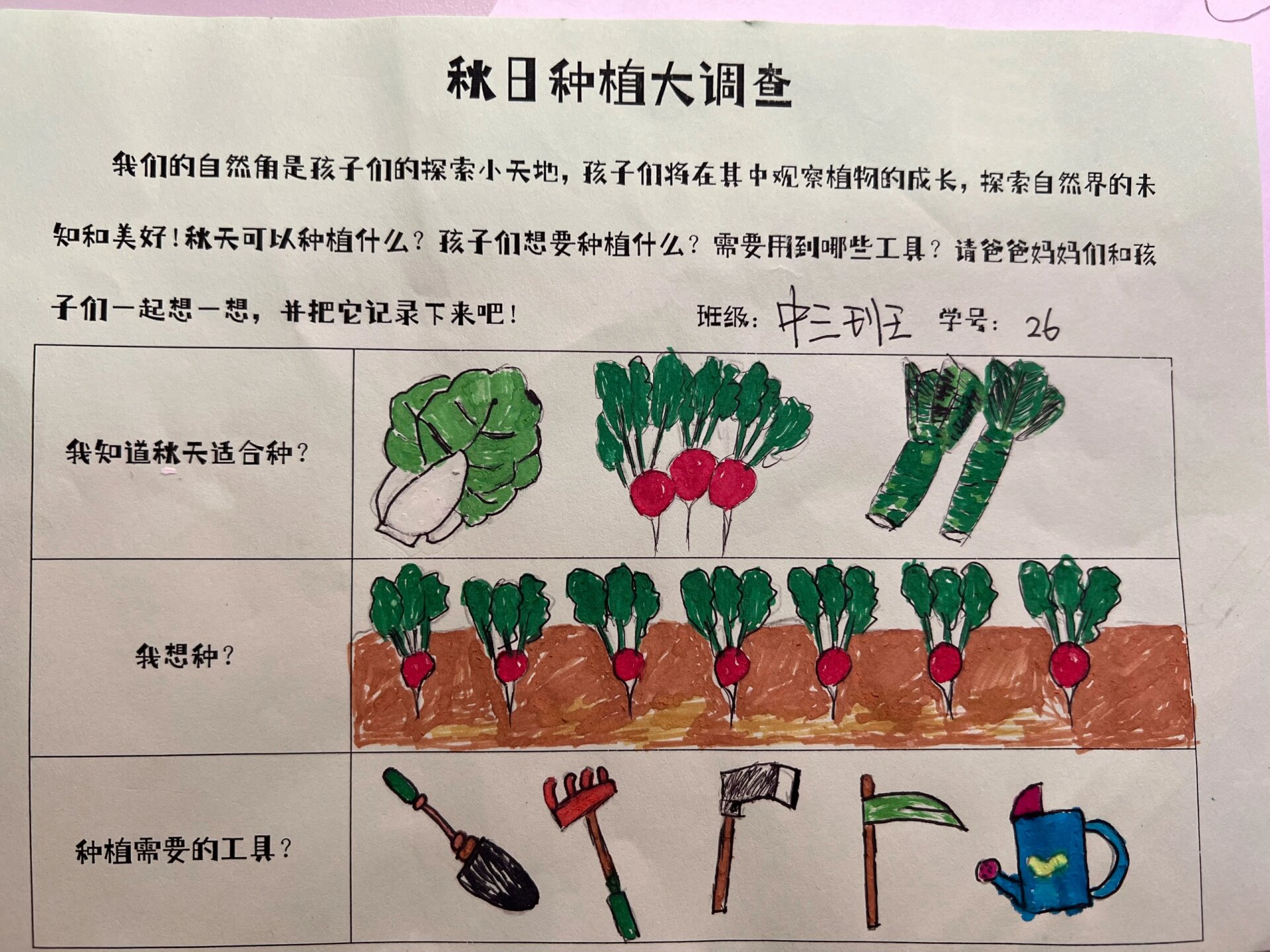 幼儿园秋季种植调查表图片