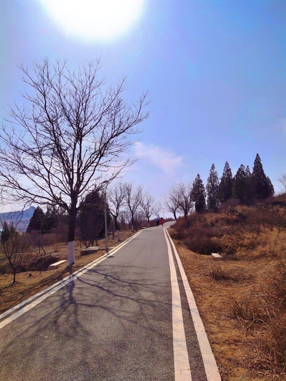 淄博当地踏春好去处|78花山公园78 今天带着爸妈去春游.