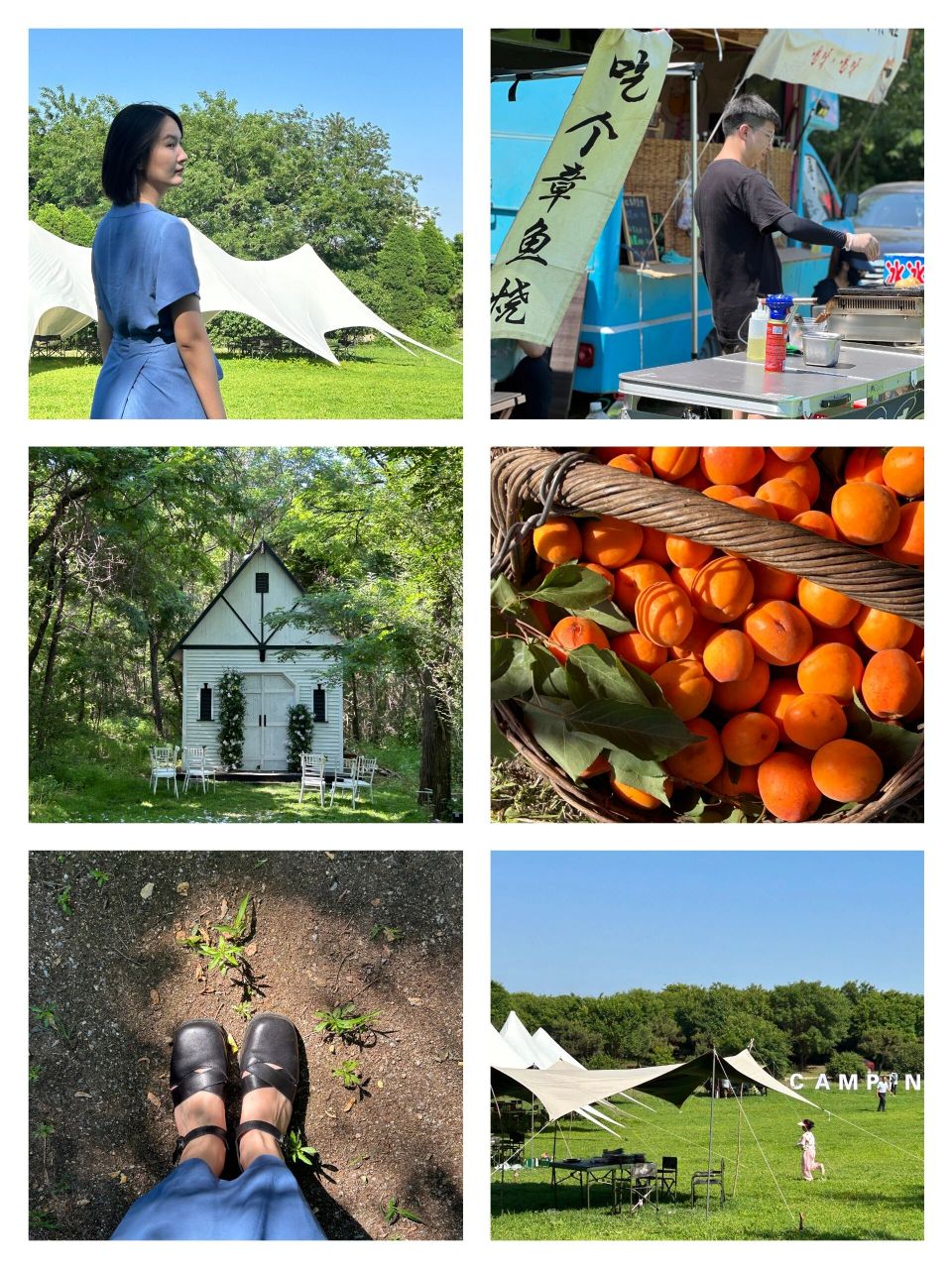 锦州三角山61全新开放的美好生态园.