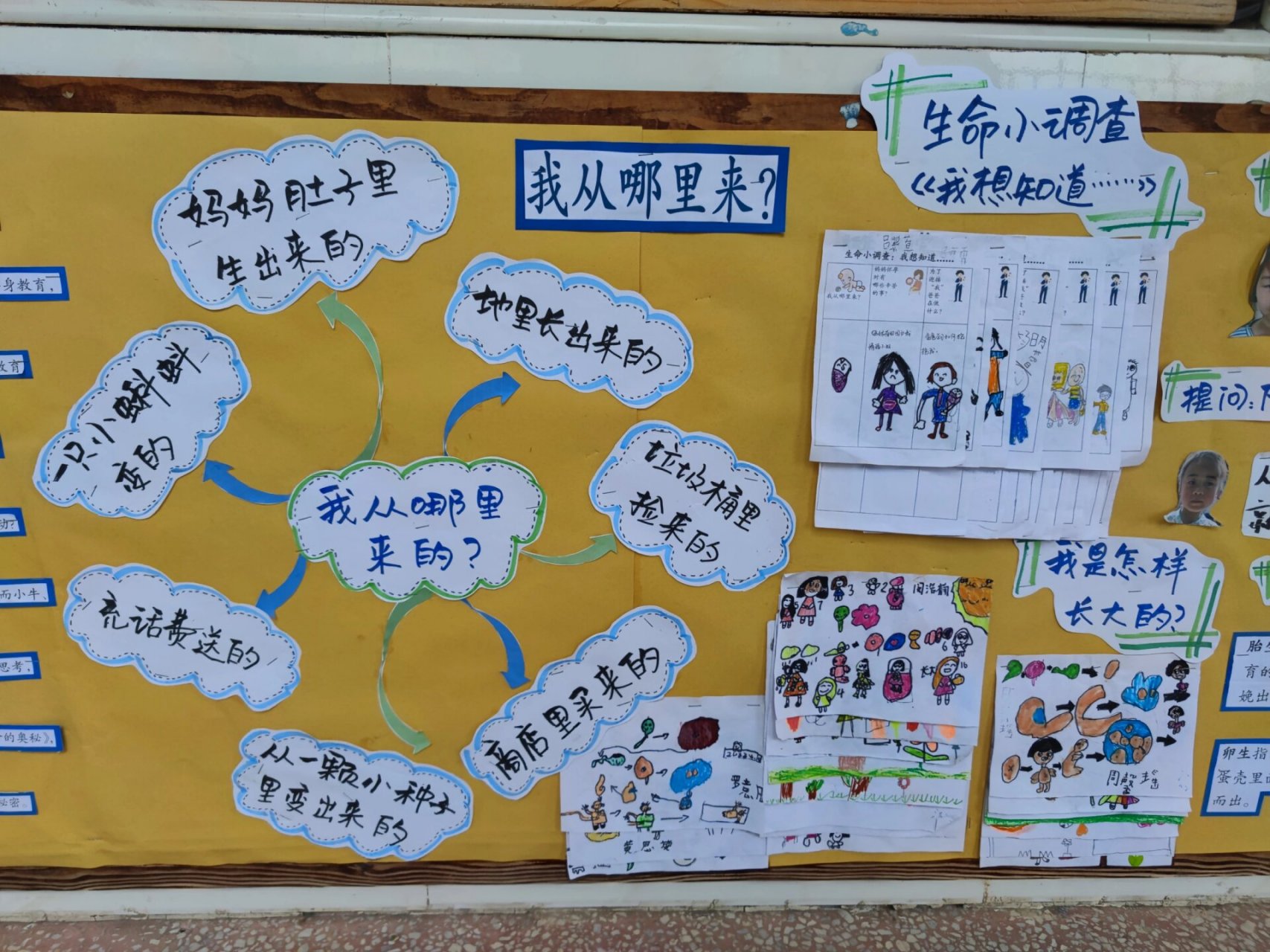 主题墙:生命的奥秘 幼儿园大班主题墙《生命的奥秘》