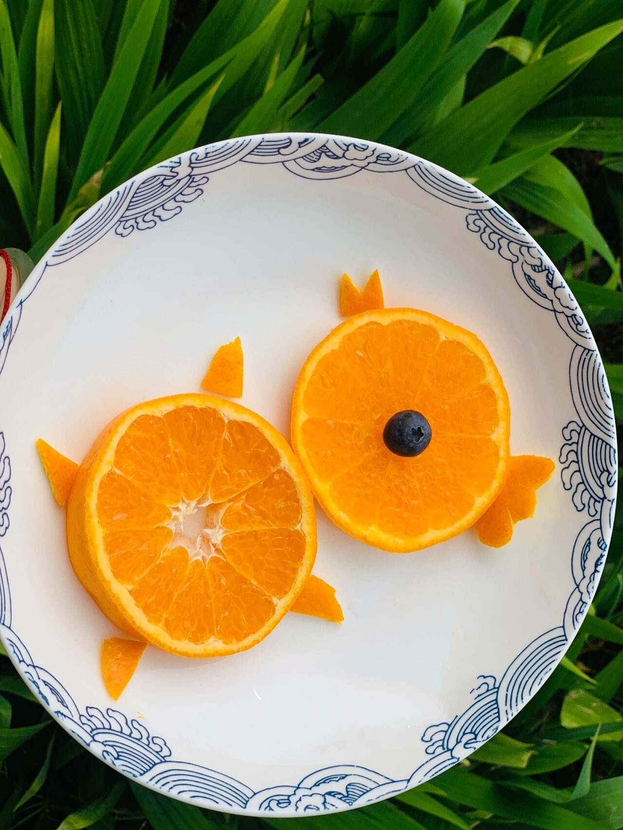 《一个橘子》创意水果拼盘