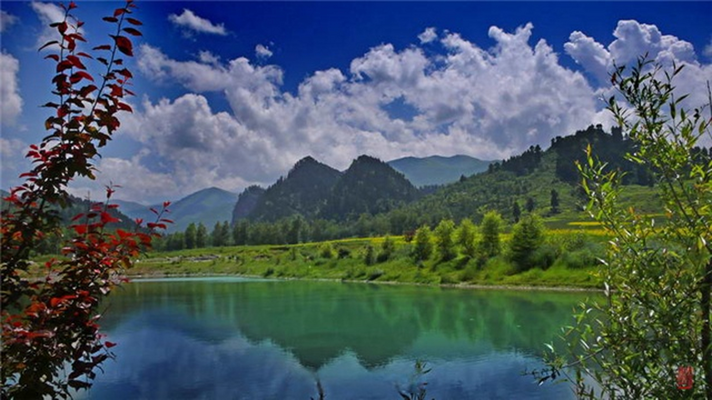 我拍甘肃地标# 国家森林公园,国家4a级旅游景区——临夏和政松鸣岩