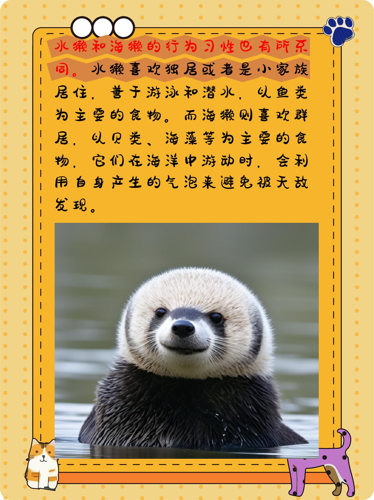 水獭主要生活在淡水环境,体型相对较小,喜欢独居或小家族居住,以鱼类