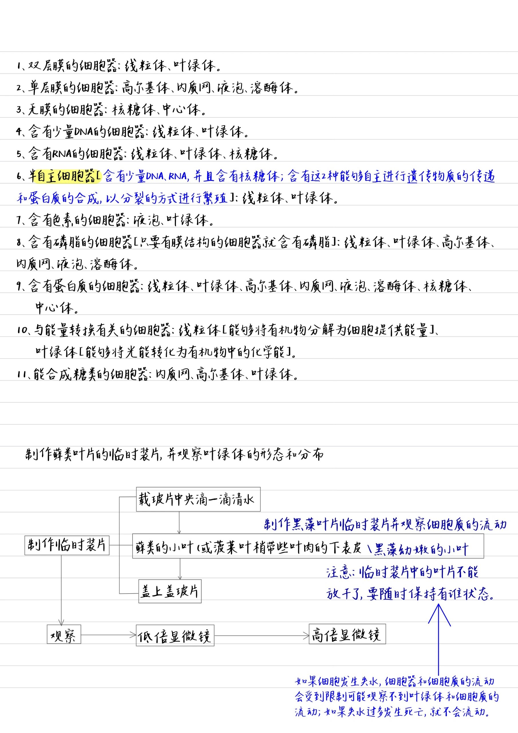 生物笔记9-细胞器之间的分工合作