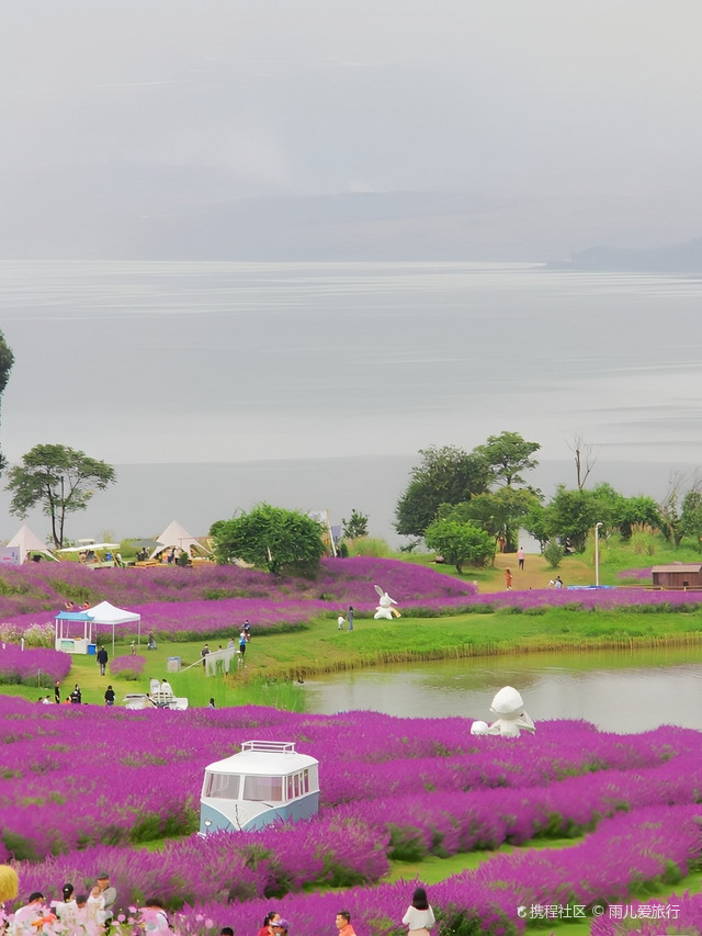 宜良华侨城花海图片