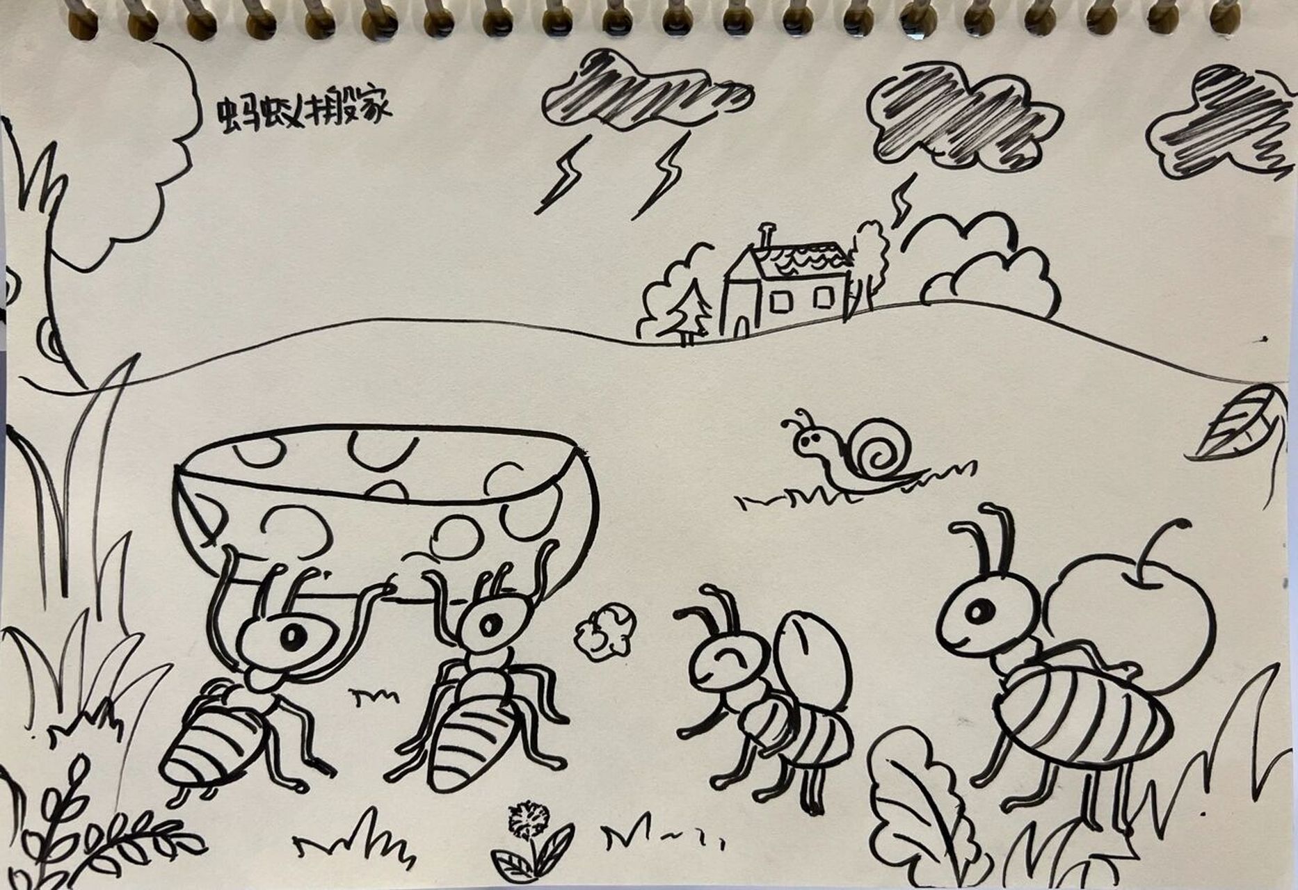 幼资面试 幼师简笔画《蚂蚁搬家》 明天就要开始面试咯～～ 加油画