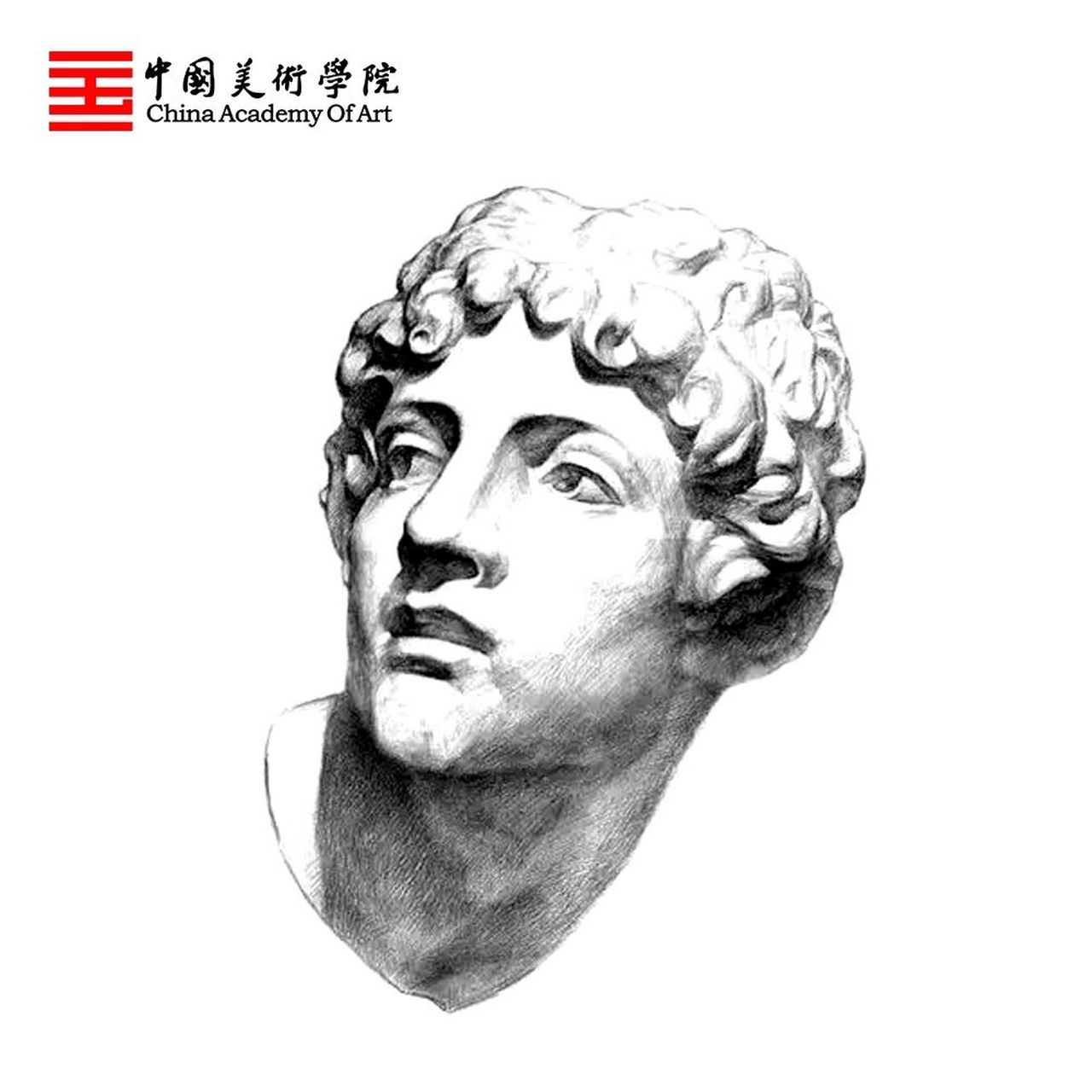 中国美院考级素描7级优秀作品分享 科  目:素描 级  别:七级 题  目