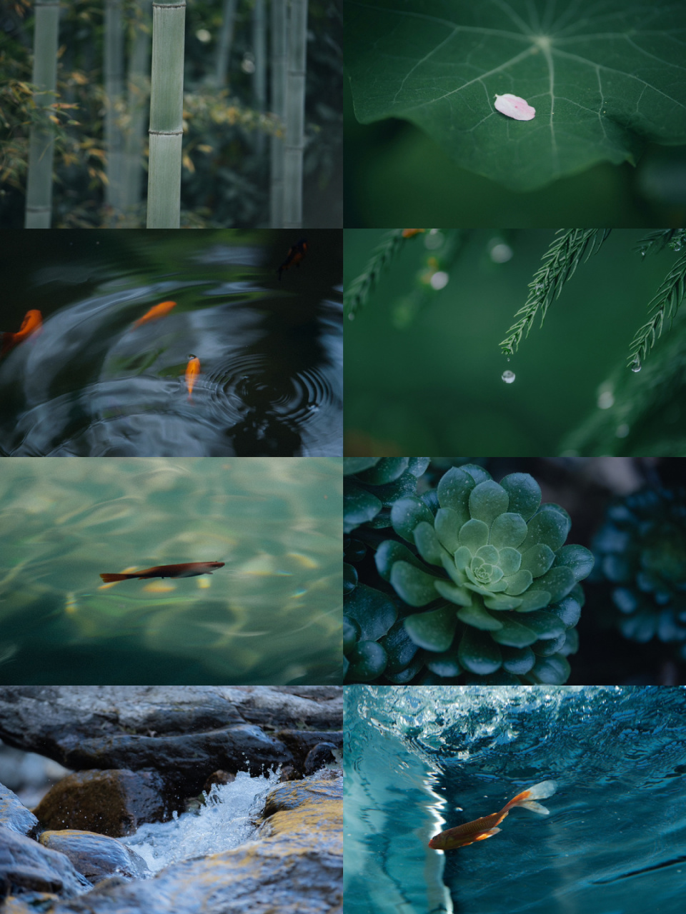 过往碎片 #春天的影像诗# #摄影# #摄影日常# #审美# #自然