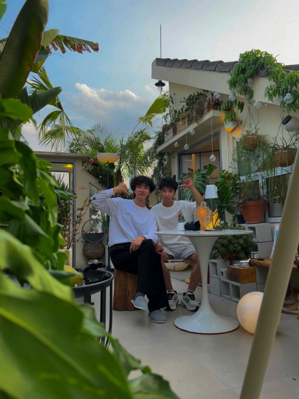 杨六娃本娃和我|露台花园组cp的一天98 热烈欢迎来我家花园打卡 这