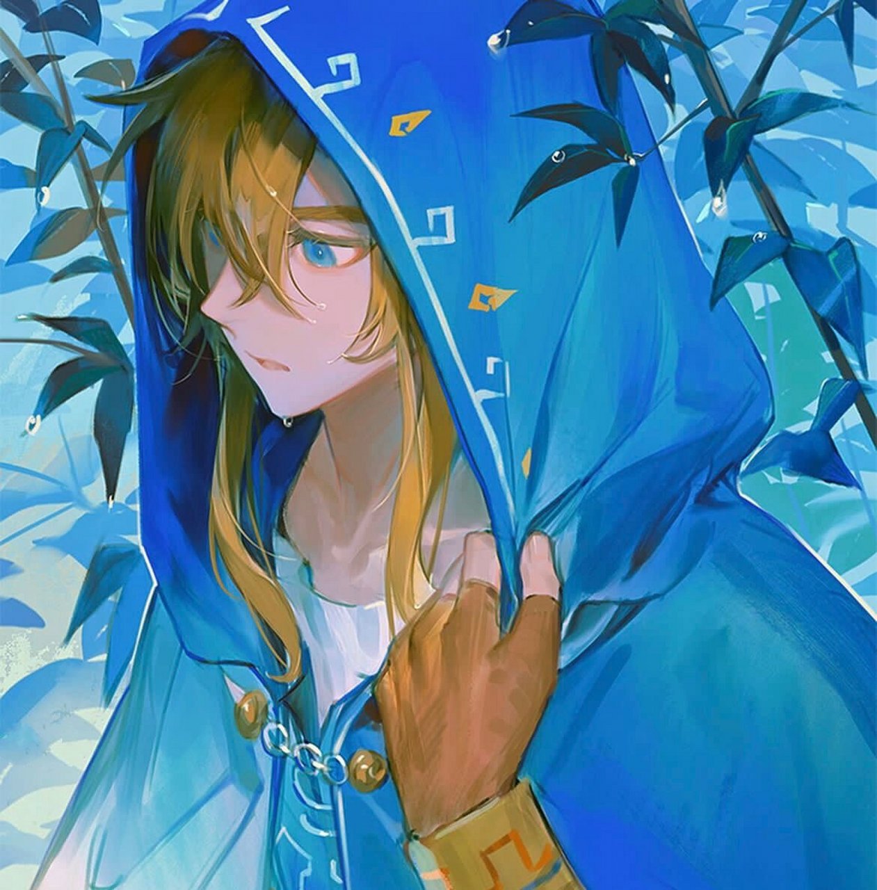 分享9715《塞尔达传说旷野之息》林克701501 怎么会有这么