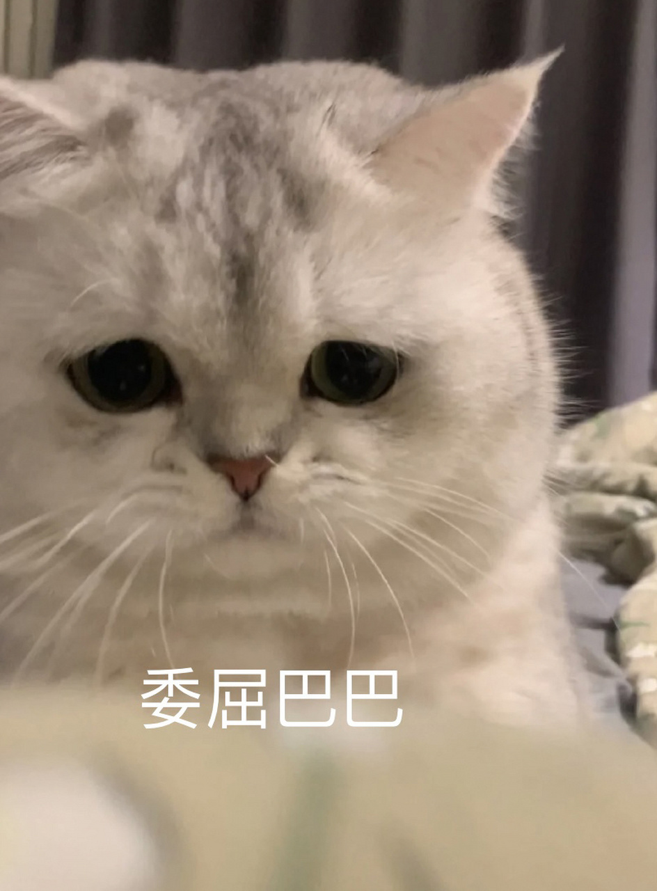 委屈猫猫年度委屈表情包 据说谈恋爱没用过凡凡的委屈表情包,都是不